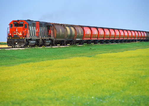CN Rail train car